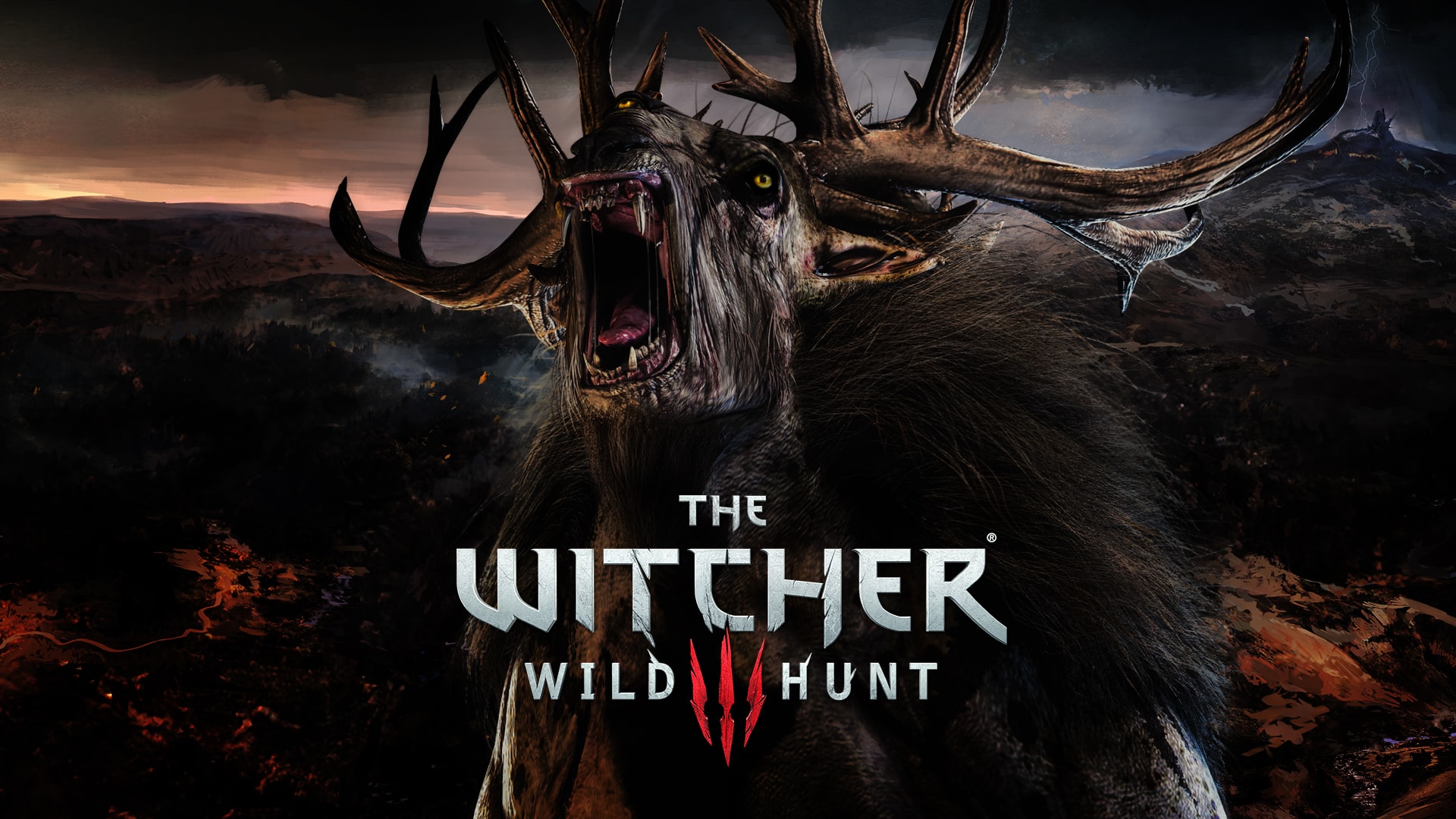 The Witcher 3 : Wild Hunt HD Wallpapers 1920 X 1080 ...